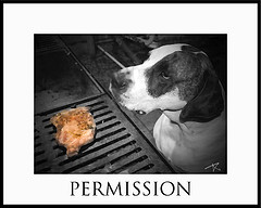 Permission